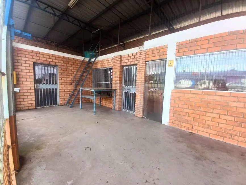 Foto 5 de Armazém / Galpão para alugar, 500m2 em Vicentina, Sao Leopoldo - RS