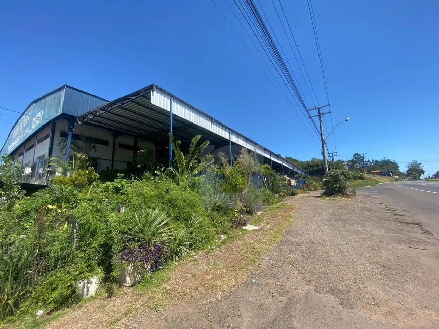 Foto 2 de Armazém / Galpão para alugar, 1500m2 em Scharlau, Sao Leopoldo - RS