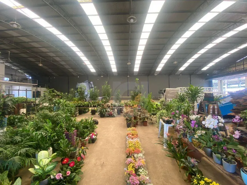 Foto 6 de Armazém / Galpão para alugar, 1500m2 em Scharlau, Sao Leopoldo - RS