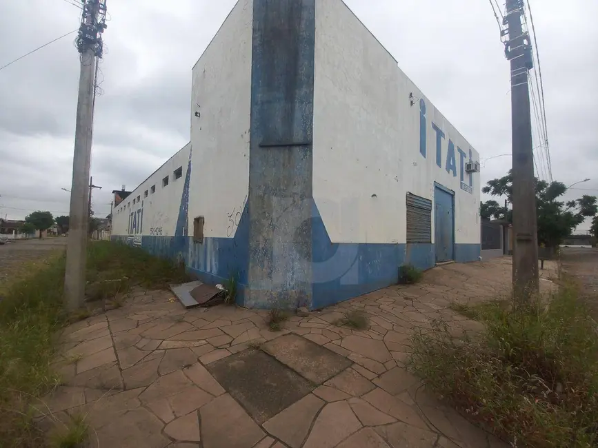 Foto 7 de Armazém / Galpão à venda e para alugar, 420m2 em Vicentina, Sao Leopoldo - RS