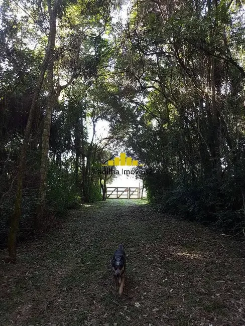 Foto 6 de Sítio / Rancho com 2 quartos à venda, 44000m2 em Centro, Angatuba - SP