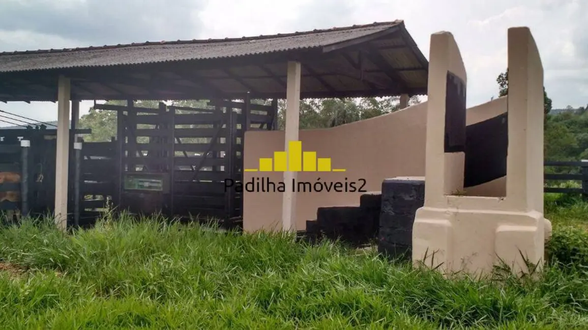 Fazenda / Haras com 3 quartos à venda, 60m2 em Centro, Itapetininga - SP - imagem 5 Foto 5 de Fazenda / Haras com 3 quartos à venda, 60m2 em Centro, Itapetininga - SP