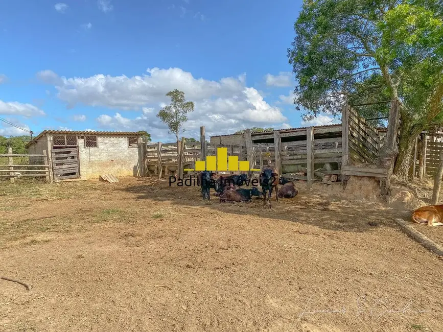 Sítio / Rancho com 6 quartos à venda, 10m2 em Centro, Sao Miguel Arcanjo - SP - imagem 4 Foto 4 de Sítio / Rancho com 6 quartos à venda, 10m2 em Centro, Sao Miguel Arcanjo - SP
