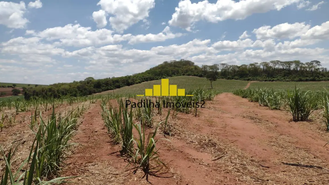 Fazenda / Haras à venda, 51m2 em Centro, Ribeirao Preto - SP - imagem 8 Foto 8 de Fazenda / Haras à venda, 51m2 em Centro, Ribeirao Preto - SP