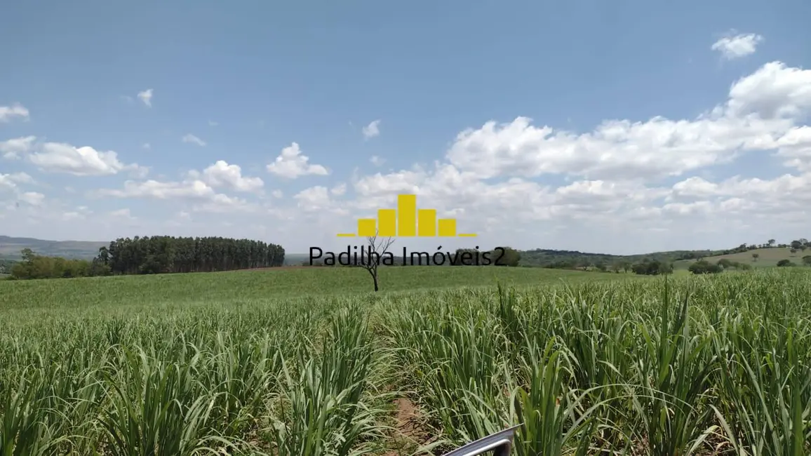 Fazenda / Haras à venda, 51m2 em Centro, Ribeirao Preto - SP - imagem 3 Foto 3 de Fazenda / Haras à venda, 51m2 em Centro, Ribeirao Preto - SP