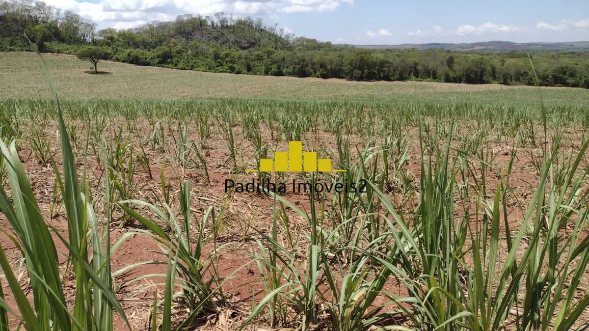 Fazenda / Haras à venda, 51m2 em Centro, Ribeirao Preto - SP - imagem 4 Foto 4 de Fazenda / Haras à venda, 51m2 em Centro, Ribeirao Preto - SP