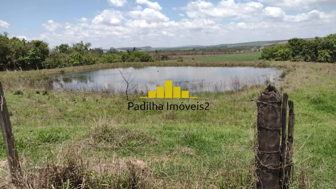 Fazenda / Haras à venda, 51m2 em Centro, Ribeirao Preto - SP - imagem 5 Foto 5 de Fazenda / Haras à venda, 51m2 em Centro, Ribeirao Preto - SP