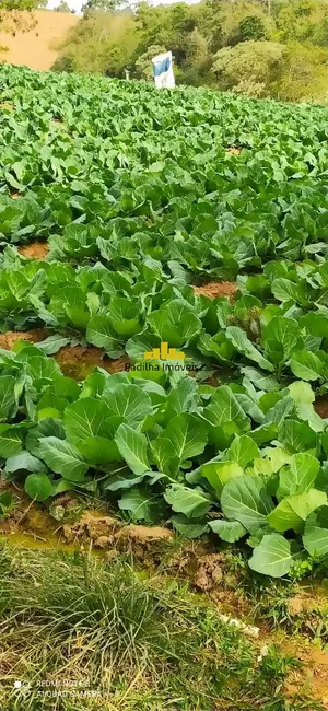 Fazenda / Haras à venda, 100m2 em Pilar Do Sul - SP - imagem 3 Foto 3 de Fazenda / Haras à venda, 100m2 em Pilar Do Sul - SP