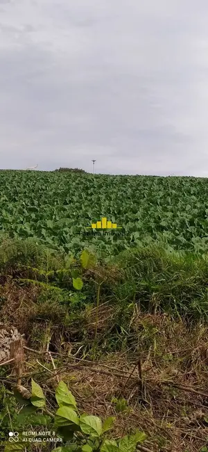 Fazenda / Haras à venda, 100m2 em Pilar Do Sul - SP - imagem 8 Foto 8 de Fazenda / Haras à venda, 100m2 em Pilar Do Sul - SP