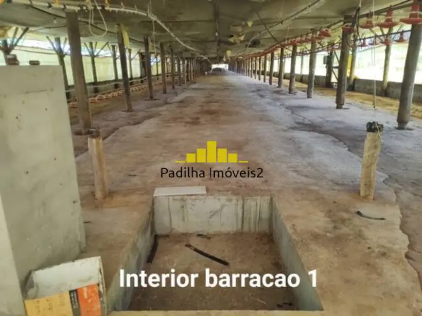 Chácara à venda em Jardim Marabá, Itapetininga - SP - imagem 3 Foto 3 de Chácara à venda em Jardim Marabá, Itapetininga - SP