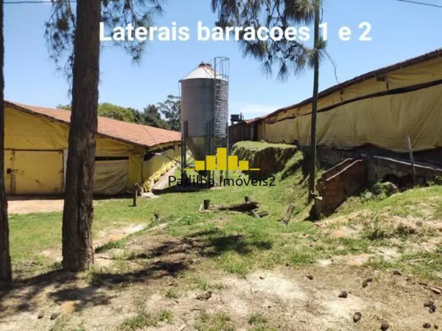 Chácara à venda em Jardim Marabá, Itapetininga - SP - imagem 4 Foto 4 de Chácara à venda em Jardim Marabá, Itapetininga - SP