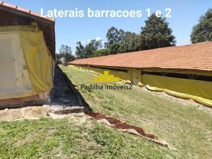 Chácara à venda em Jardim Marabá, Itapetininga - SP - imagem 5 Foto 5 de Chácara à venda em Jardim Marabá, Itapetininga - SP