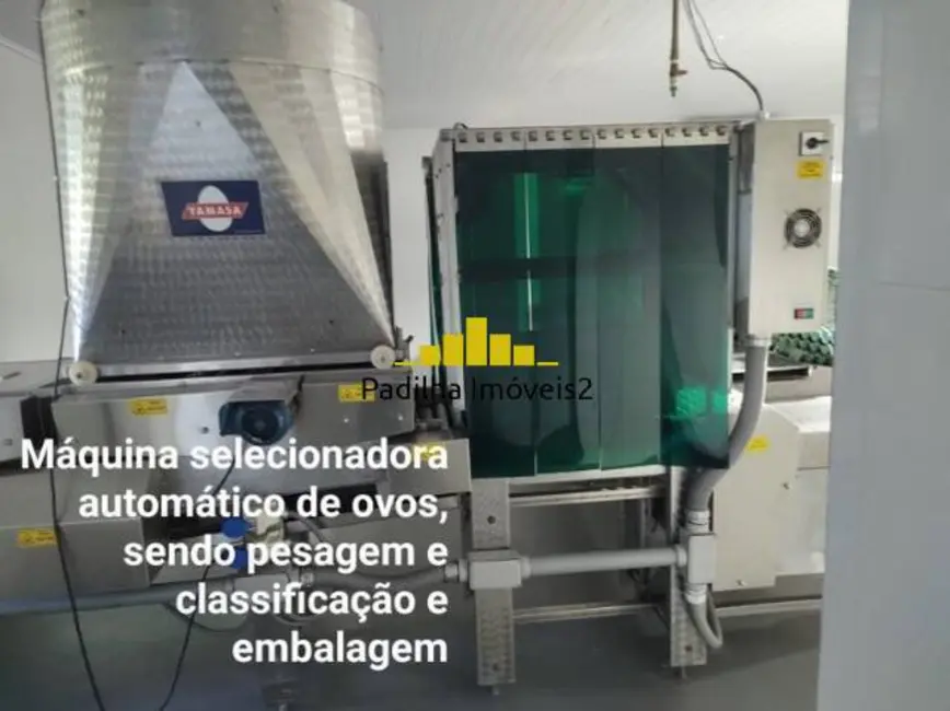 Chácara à venda em Jardim Marabá, Itapetininga - SP - imagem 8 Foto 8 de Chácara à venda em Jardim Marabá, Itapetininga - SP