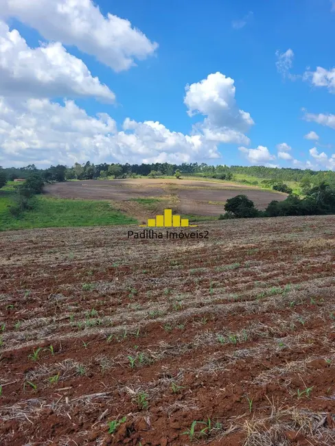 Sítio / Rancho à venda, 14m2 em Centro, Guarei - SP - imagem 9 Foto 9 de Sítio / Rancho à venda, 14m2 em Centro, Guarei - SP