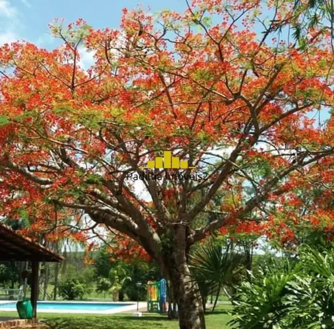 Sítio / Rancho com 3 quartos à venda, 9m2 em Centro, Sarapui - SP - imagem 5 Foto 5 de Sítio / Rancho com 3 quartos à venda, 9m2 em Centro, Sarapui - SP