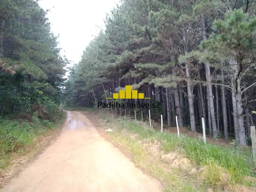 Foto 1 de Fazenda / Haras à venda, 140m2 em Centro, Itapeva - SP