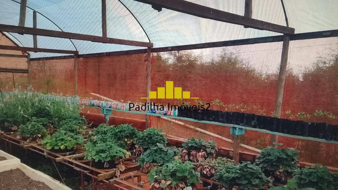 Foto 5 de Sítio / Rancho à venda, 10m2 em Angatuba - SP