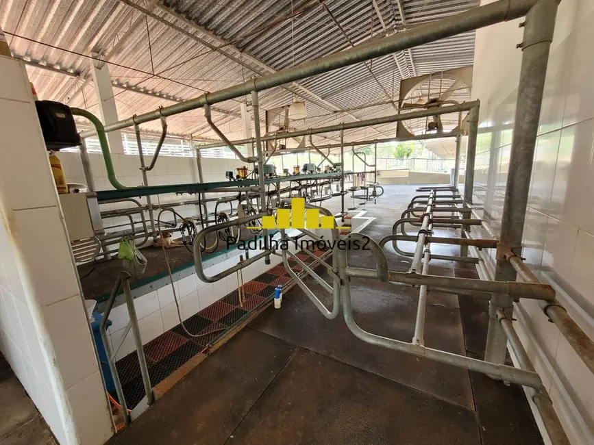 Foto 6 de Fazenda / Haras à venda, 60m2 em Angatuba - SP