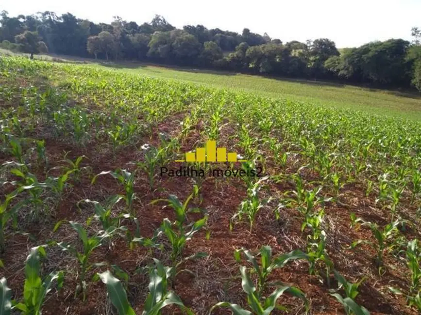 Foto 4 de Sítio / Rancho com 2 quartos à venda, 112000m2 em Centro, Campina Do Monte Alegre - SP