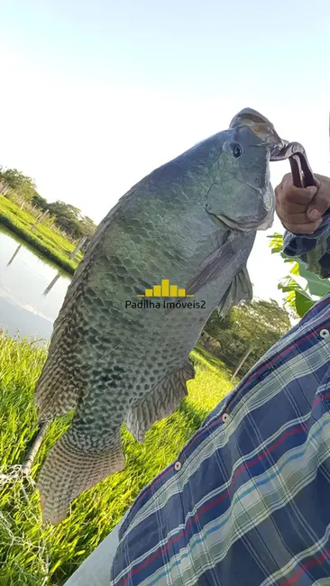 Foto 3 de Chácara com 3 quartos à venda em Centro, Capela Do Alto - SP