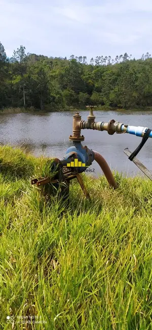 Chácara à venda em Pilar Do Sul - SP - imagem 7 Foto 7 de Chácara à venda em Pilar Do Sul - SP