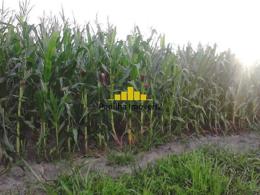 Foto 6 de Chácara à venda em Centro, Guarei - SP