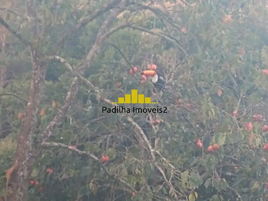 Foto 13 de Chácara à venda em Centro, Guarei - SP