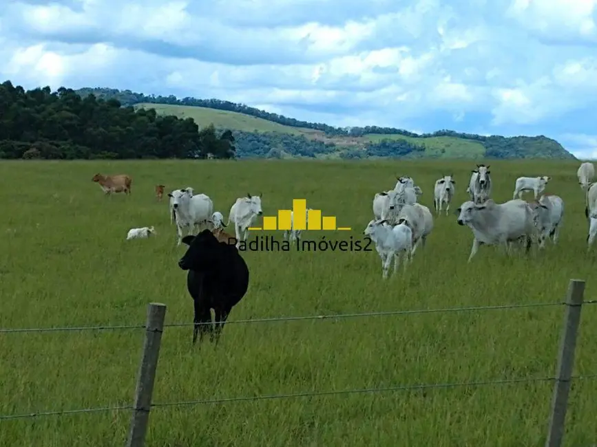 Foto 11 de Chácara à venda em Centro, Guarei - SP