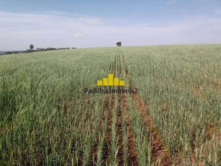 Foto 5 de Fazenda / Haras à venda, 75m2 em Paranapanema - SP