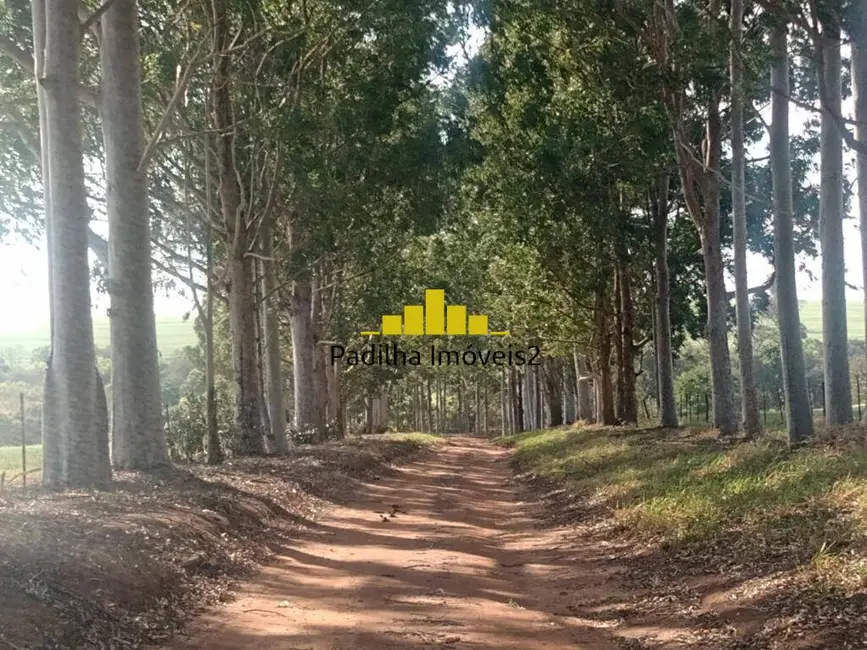 Foto 3 de Fazenda / Haras à venda, 75m2 em Paranapanema - SP