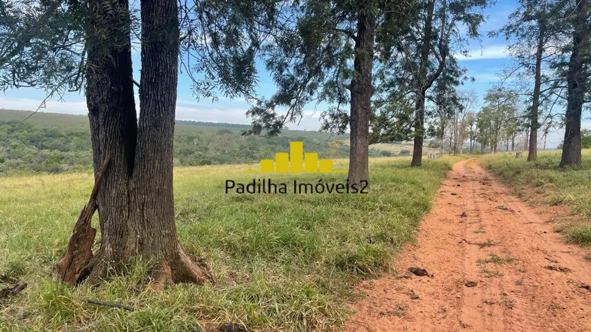 Foto 7 de Fazenda / Haras à venda, 220m2 em Centro, Bauru - SP