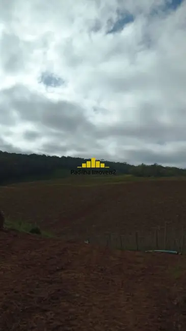 Foto 9 de Sítio / Rancho com 4 quartos à venda, 32m2 em Ribeirao Branco - SP