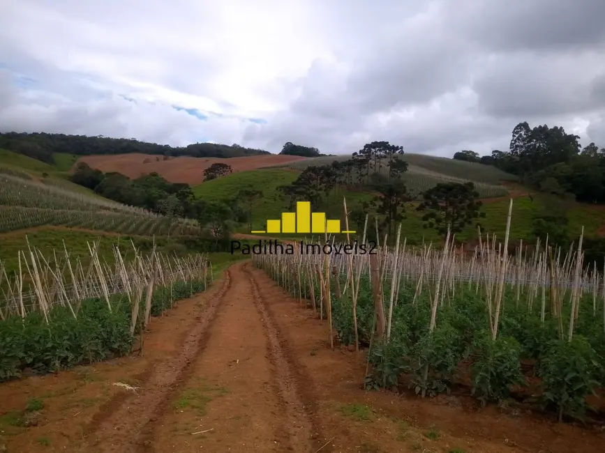 Foto 8 de Sítio / Rancho com 4 quartos à venda, 32m2 em Ribeirao Branco - SP