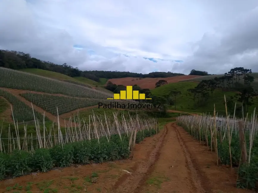 Foto 5 de Sítio / Rancho com 4 quartos à venda, 32m2 em Ribeirao Branco - SP