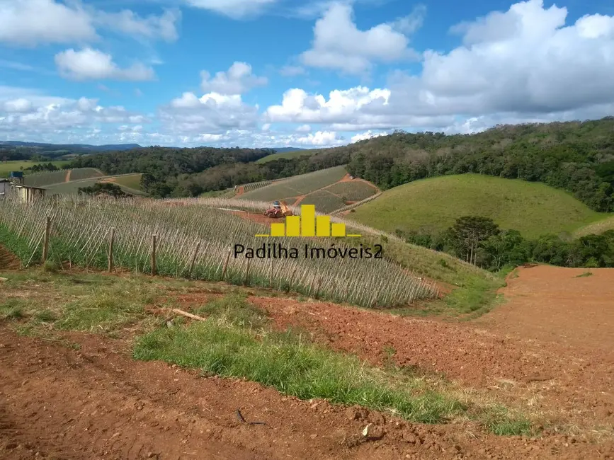 Foto 4 de Sítio / Rancho com 4 quartos à venda, 32m2 em Ribeirao Branco - SP