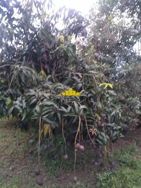 Foto 3 de Chácara à venda, 12000m2 em Centro, Capela Do Alto - SP