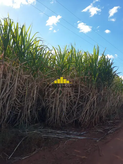 Foto 4 de Chácara à venda, 109m2 em Centro, Guzolandia - SP