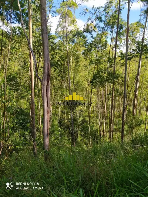 Sítio / Rancho à venda, 25m2 em Pilar Do Sul - SP - imagem 6 Foto 6 de Sítio / Rancho à venda, 25m2 em Pilar Do Sul - SP