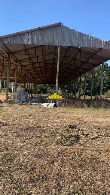 Sítio / Rancho à venda em Itapetininga - SP - imagem 3 Foto 3 de Sítio / Rancho à venda em Itapetininga - SP