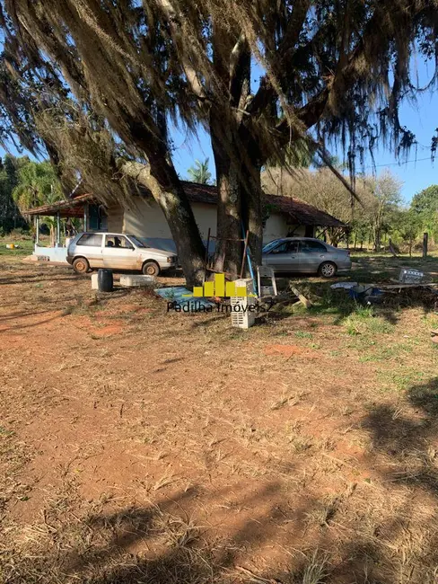 Sítio / Rancho à venda em Itapetininga - SP - imagem 7 Foto 7 de Sítio / Rancho à venda em Itapetininga - SP
