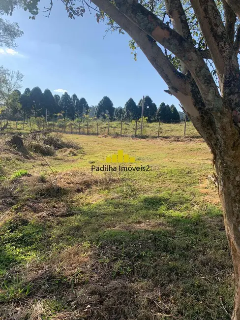 Foto 11 de Sítio / Rancho à venda em Itapetininga - SP