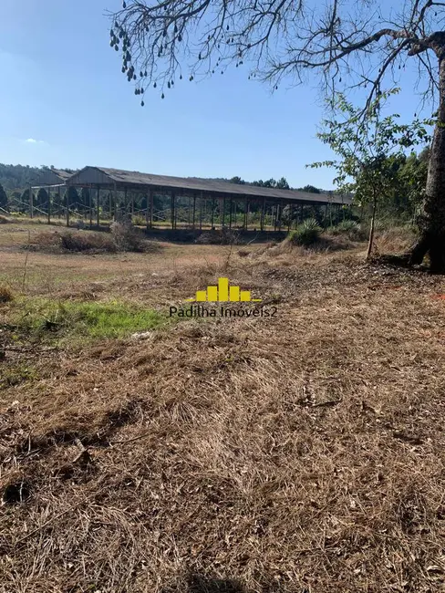 Sítio / Rancho à venda em Itapetininga - SP - imagem 5 Foto 5 de Sítio / Rancho à venda em Itapetininga - SP