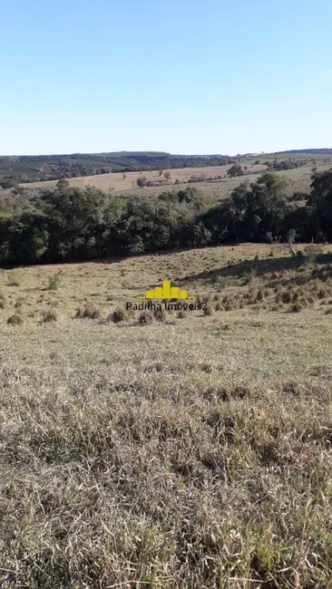 Chácara à venda em Capela Do Alto - SP - imagem 9 Foto 9 de Chácara à venda em Capela Do Alto - SP