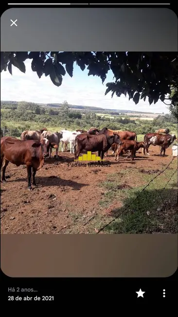 Foto 19 de Sítio / Rancho à venda em Angatuba - SP