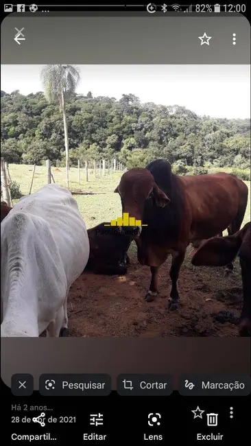 Foto 21 de Sítio / Rancho à venda em Angatuba - SP