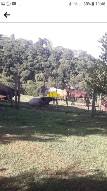 Foto 1 de Sítio / Rancho à venda em Angatuba - SP