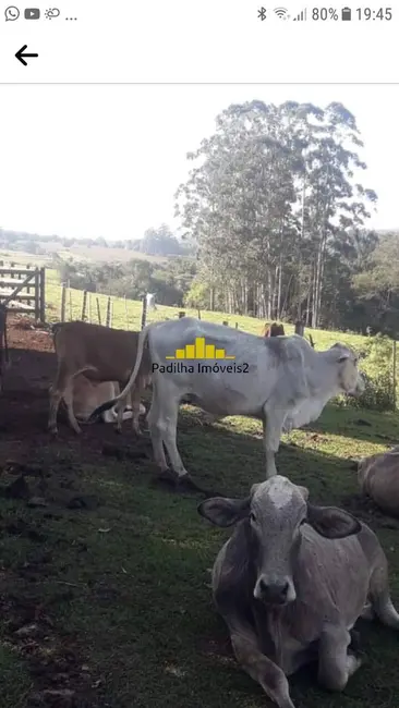 Foto 13 de Sítio / Rancho à venda em Angatuba - SP