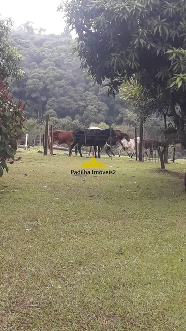 Foto 15 de Sítio / Rancho à venda em Angatuba - SP