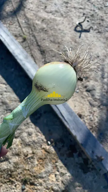 Foto 6 de Sítio / Rancho com 3 quartos à venda, 13m2 em Piedade - SP