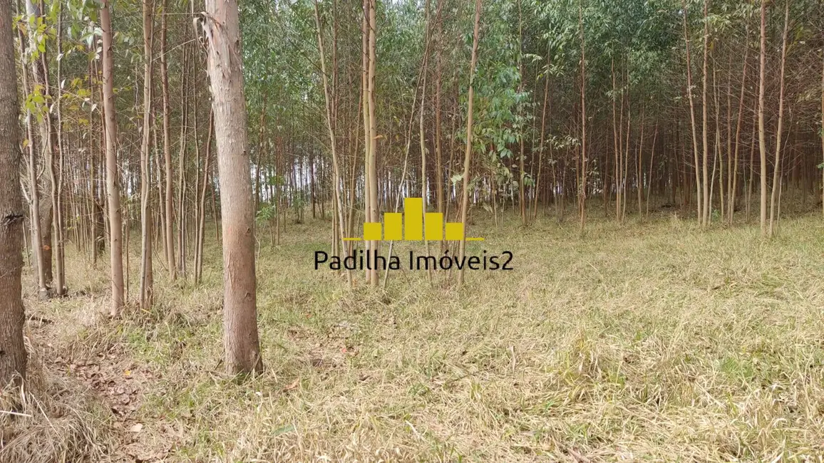 Foto 3 de Sítio / Rancho à venda em Itapetininga - SP